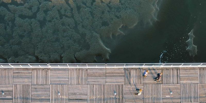 开发教程、编程资源与极客社区：网络技术学习生态的深度对比与选择指南
