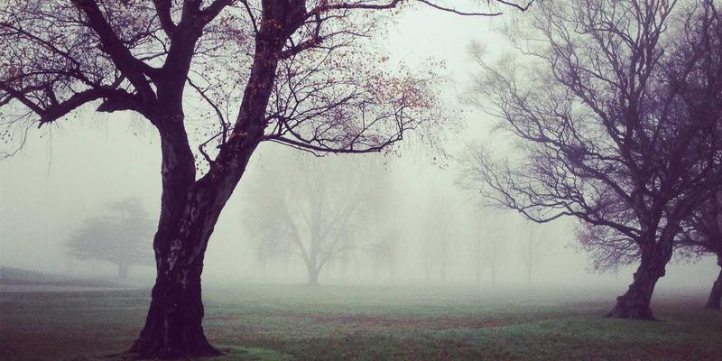技术分享：深度解析多接入边缘计算中的网络编排与资源调度策略