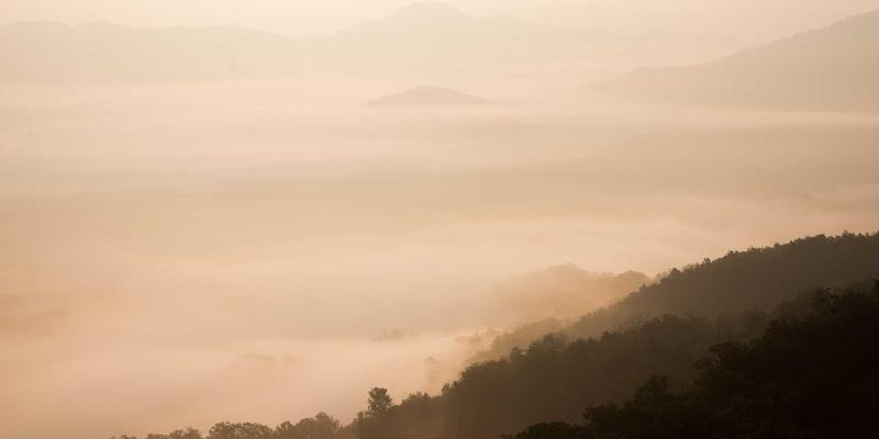 技术分享：零信任网络架构在企业内网安全中的实施路径与实战解析