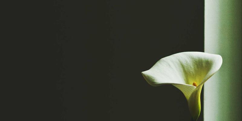 数据中心网络演进实战：从叶脊架构到可编程交换机的深度解析 | CCZHIBAO编程资源