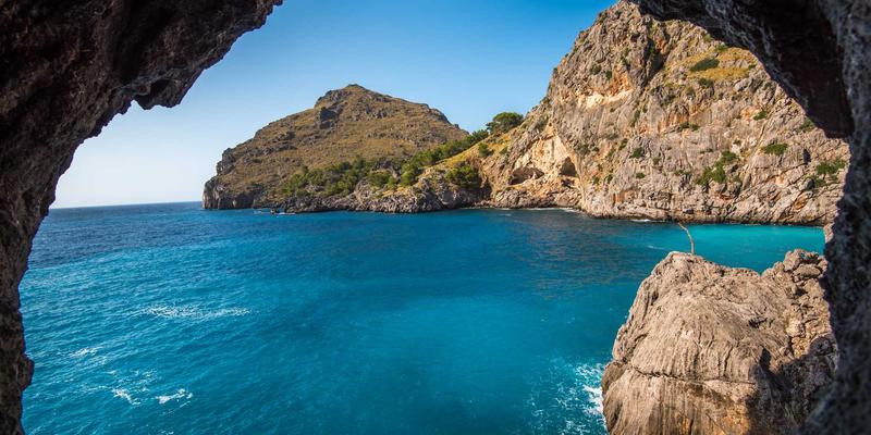 编程资源、开发教程与技术分享:构建您的网络技术成长地图