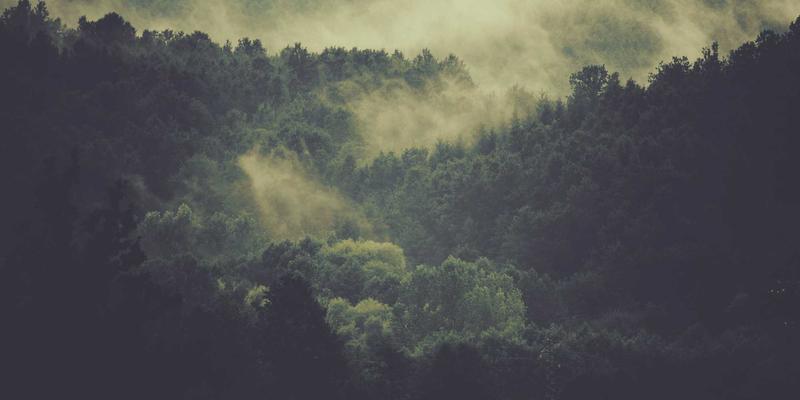 网络技术18:极客社区CCZHIBAO如何重塑编程资源获取方式