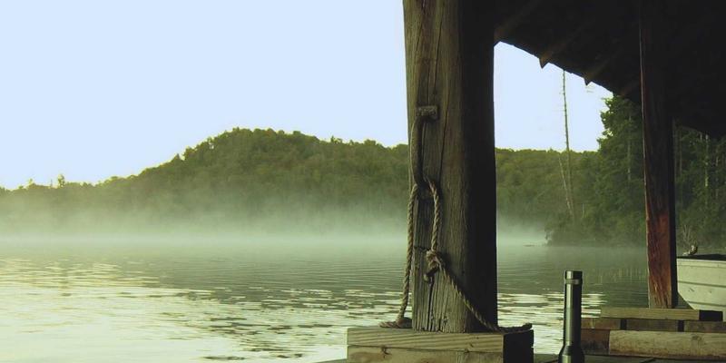 网络技术21:探索前沿编程资源与技术分享新生态