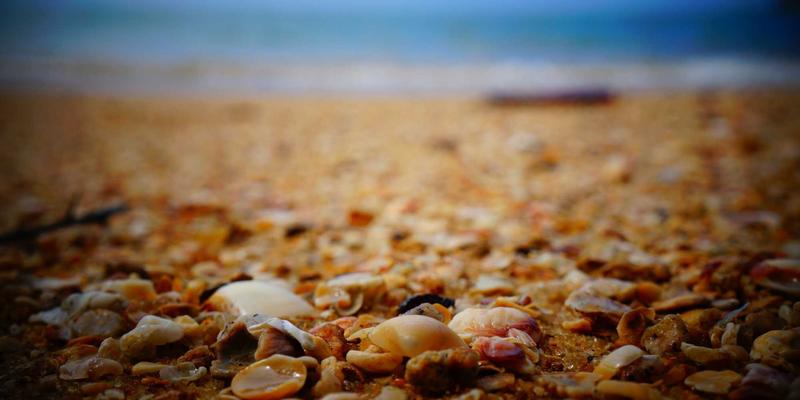 网络技术30：极客社区如何通过开发教程塑造技术未来