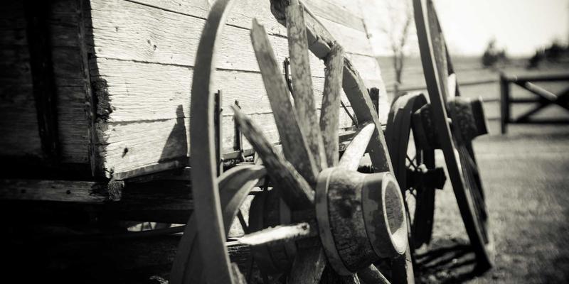 网络技术40：技术分享、网络技术与编程资源的深度整合指南