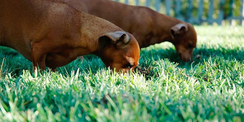 网络技术50：从基础架构到前沿趋势的技术全景解析