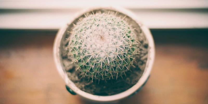 网络技术72：编程资源与开发教程全攻略，CCZHIBAO助你高效进阶