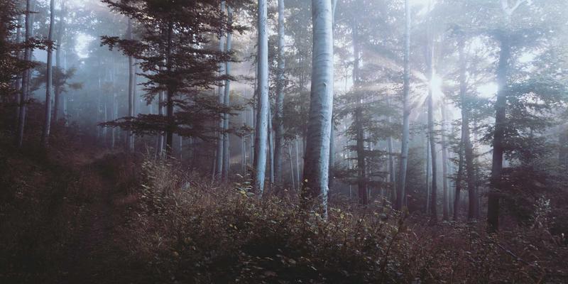 网络技术92：从开发教程到实战分享的技术演进之路