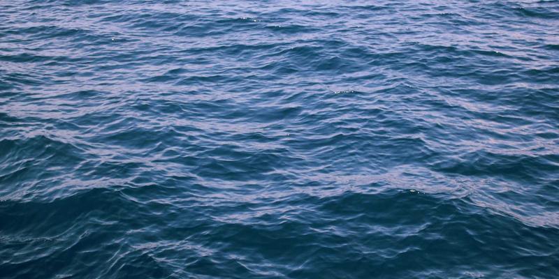 网络数字孪生：构建未来网络的虚拟镜像，技术分享与极客社区的实践指南